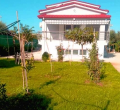 Studio / Γκαρσονιέρα, 40τ.μ. - Αίγιο 