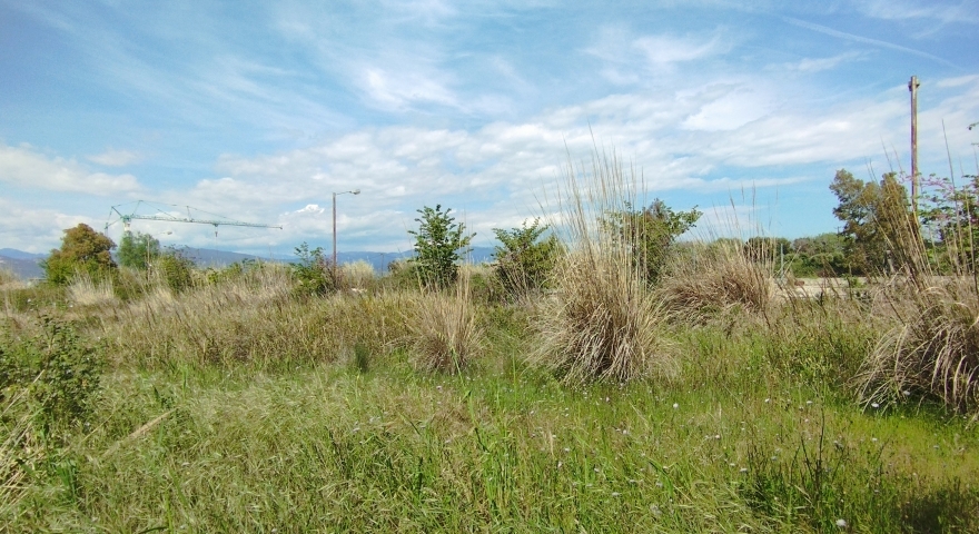 Αγροτεμάχιο - 1.000 Τ.Μ. - Δρέπανο - Αχαΐας