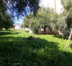 ΟΙΚΟΠΕΔΟ - 410 Τ.Μ. -  Κυλλήνη - Ηλεία