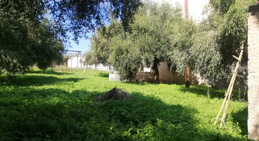 ΟΙΚΟΠΕΔΟ - 410 Τ.Μ. -  Κυλλήνη - Ηλεία