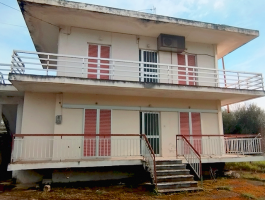 ΕΛΑΙΩΝΑΣ - 4.800 τ.μ. - Περιοχή Κάτω Αχαΐα - Στεναΐτικα