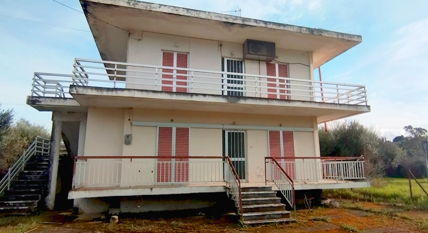 ΕΛΑΙΩΝΑΣ - 4.800 τ.μ. - Περιοχή Κάτω Αχαΐα - Στεναΐτικα