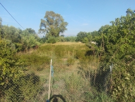 Αγροτεμάχιο - 2.200 Τ.Μ. - Κάτω Αχαΐα  - (Πάνω στον δρόμο)