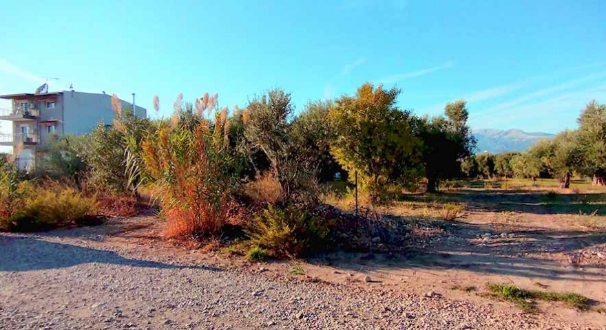 ΟΙΚΟΠΕΔΟ - 1.500 Τ.Μ. -  Άγιος Βασίλειος - Αχαΐα